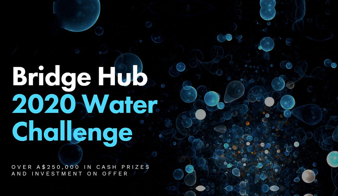 Bridge Hub 2020 Water Challenge Winners