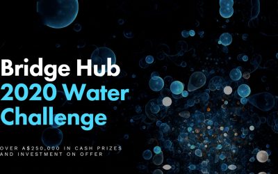 Bridge Hub 2020 Water Challenge Winners